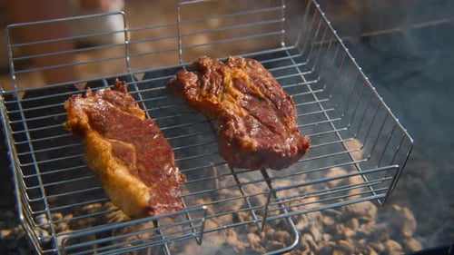 Saftiges Grillfleisch auf dem Grill in der Natur an einem sonnigen Sommertag