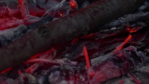 Wood Fire Burning Like Hell 2