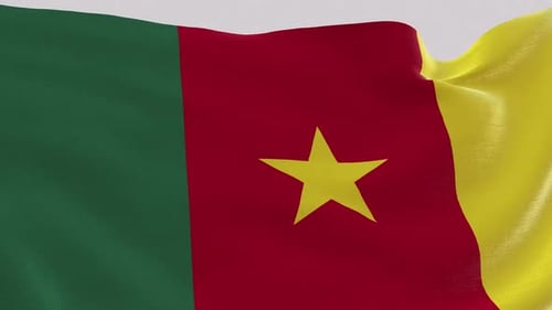 Cameroon National Flag Waving Loop with Realistic Fabric Movement