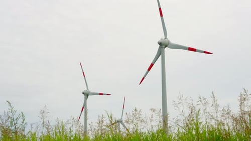 Wind turbines in the field