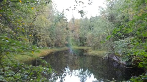 Filming a hidden lake inside a forest.
Concept: Magical place, Calm nature, Overview/Intro