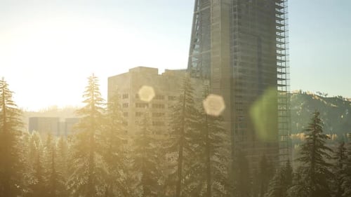 Parque, bosque y rascacielos al atardecer