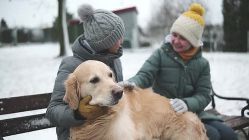 Women Pet Golden Retriever on Snowy Bench in Park