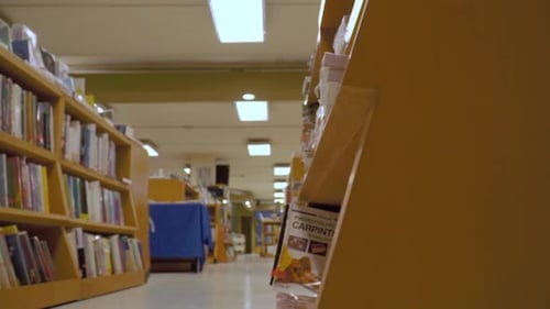 A slow slider shot revealing a hallway in a library filled with bookshelves and various titles.