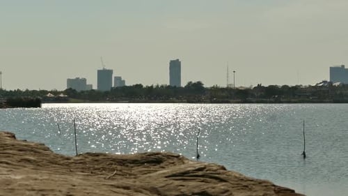 Peaceful Riverside with City in Background