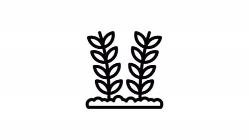 wheat line icon animation