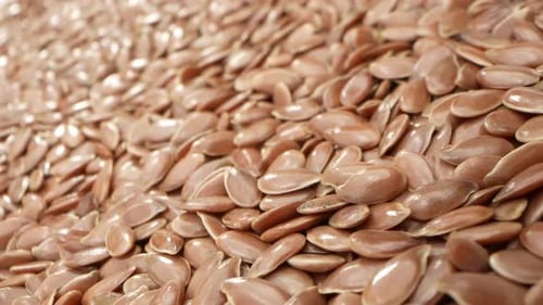 Macro View of Flax Seeds Glistening Under Light
