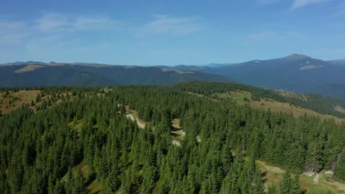 Aerial Forest Hills View Charming Green Woods Against Blue Morning Sky Landscape