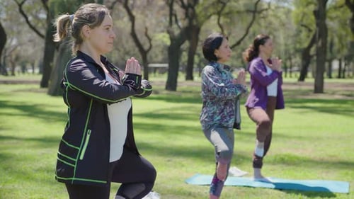 Mature Woman Doing Tree Pose on Yoga Practice in the Park