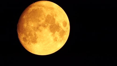 Close Up View of Golden Full Moon
