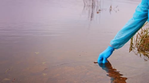 Gloved Hand Into Water Collecting Test Tube Man Scientist Takes Water Sample From Polluted Pond