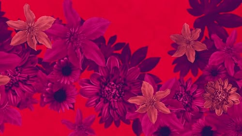 Fond de fleurs d'été 01