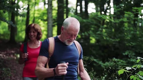 Senior tourist couple exploring nature and walking together in the forest