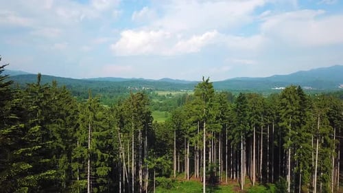 Vista aérea de un paisaje montañoso y forestal