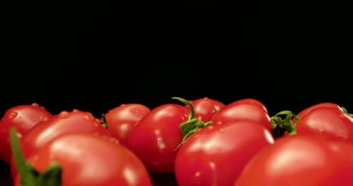 fresh red cocktail tomatoes super close-up with dark background unique high resolution 4k shoot Fly
