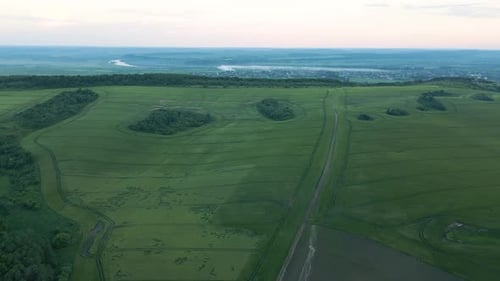 Agricultural Cultivated Field in Summer Season with Growing Crops Green Farm Fields Farming and