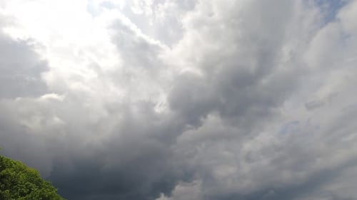 Dark Storm Clouds Rolling in Over Trees