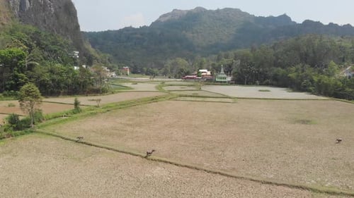 North Toraja dans le sud de Sulawesi, Indonésie