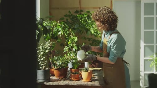 Woman Waters Plants in Bright Home Setting