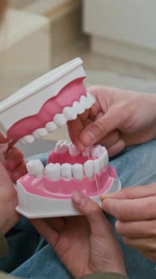 Flossing Model Teeth in Close Up Studio Shot