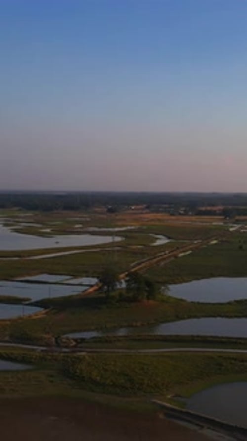 Vue par drone des terres agricoles de la région de Haor.
