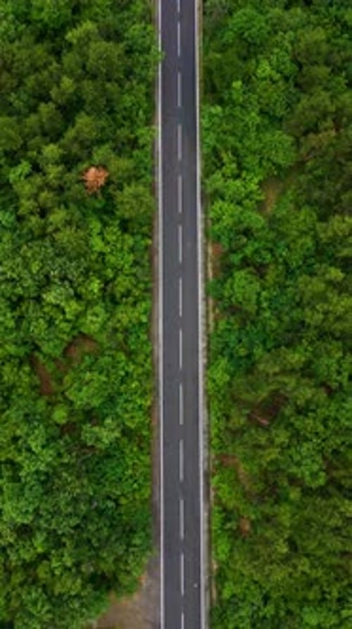 Aerial top view of a road in forest