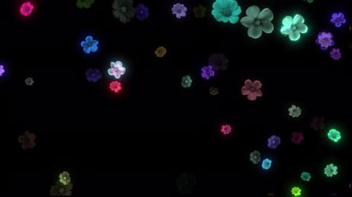 Bright Colorful Flower Rotating And Falling, Flower Falling On Alpha Channel Background, Red, White