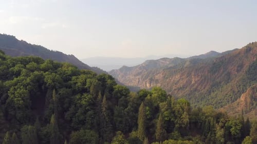 Aerial shot majestic panorama of the mountain range covered with spruces and trees