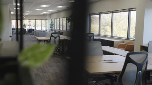 Spacious Modern Office Interior with Natural Light and Greenery