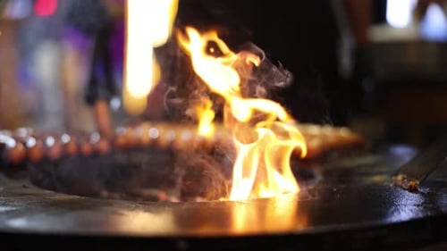 Fiery Grill