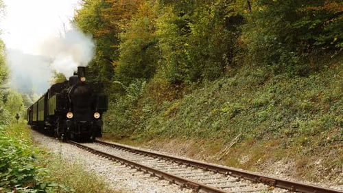 Idyllic View of a Travelling Train Through the Rural Railroad
