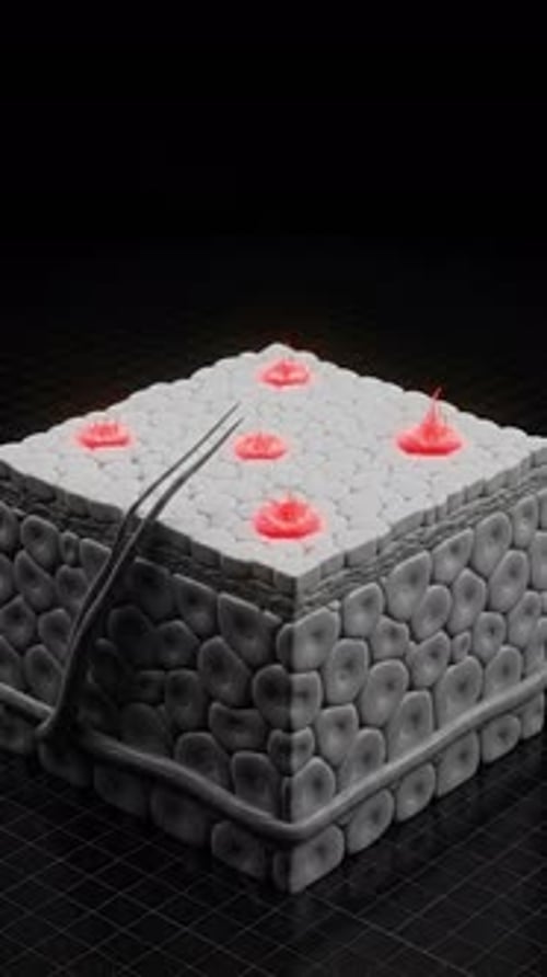 3D Cellular Tissue Reacting and Sprouting Filaments