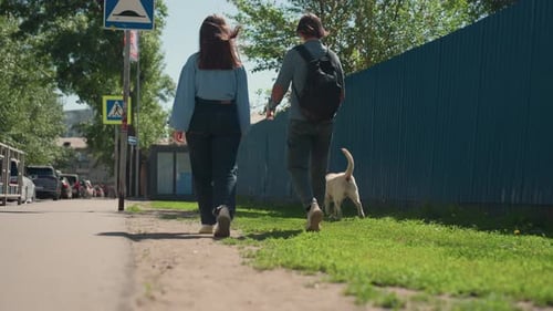 Young Couple Walks Dog on Leash Along City Sidewalk