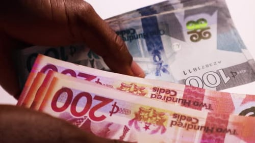 Sorting Ghanian Cedi Banknotes in Close Up
