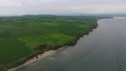Aerial garden and sea views