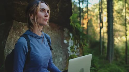 Digital Nomad in Enchanted Forest