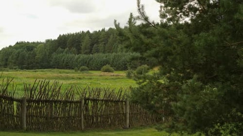 Rustic fence with green meadow and forest backdrop