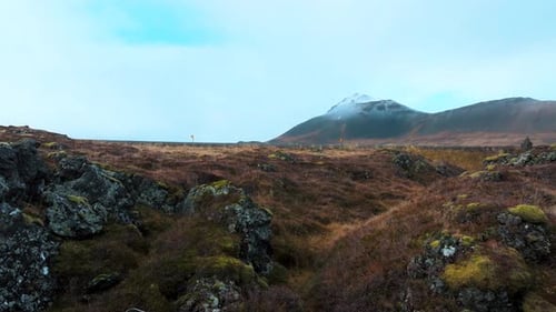 A field of lava along a valley in Iceland - drone flyover
