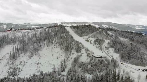 Panorama of the Mountain Range with Trees Covered with Snow in Sunny Weather