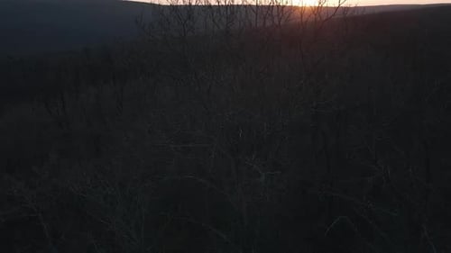 Aerial View of the Beautiful Autumn Forest at Orange Sunset