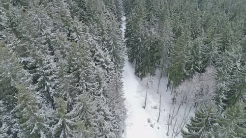 Vue aérienne par Drone d'une route recouverte de neige gelée avec des arbres dans la forêt en hiver