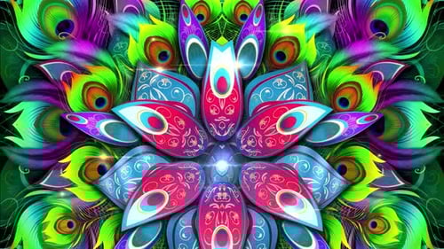 Peacock Background 01