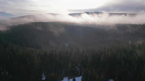 Aerial Timelapse Over Forest with Fog