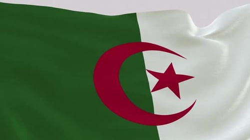 Realistic Waving Flag of Algeria with Fabric Texture