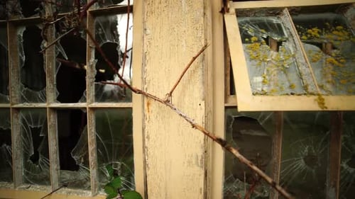 Grungy Weathered Window with Broken Glass and Peeling Paint