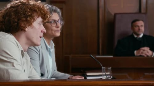 Lawyer Stopping her Client from Yelling in Court During Trial