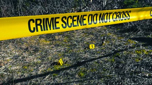 Crime Scene Tape Cordoning Off an Outdoor Investigation Area