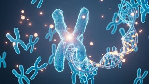 Genes y cromosomas humanos, representación 3D.