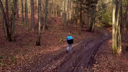 Young Man Walking Through a Forest in Autumn Scenery. Hiking in the Woods. Enjoying a Walk in a Fore