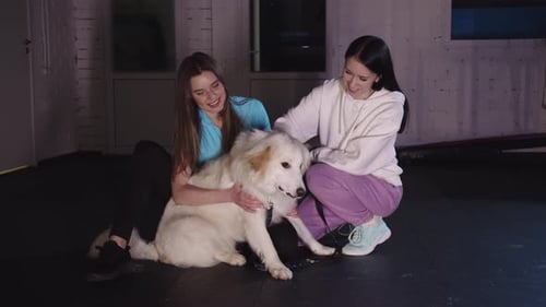 Two Young Women Petting a Dog Indoors